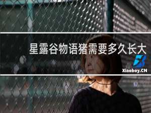 星露谷物语猪需要多久长大