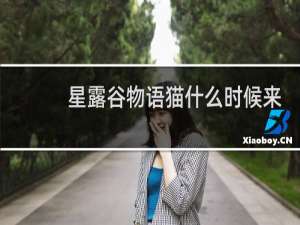 星露谷物语猫什么时候来