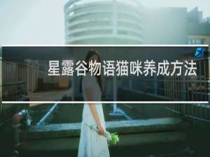 星露谷物语猫咪养成方法