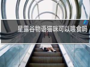 星露谷物语猫咪可以喂食吗