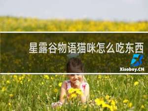 星露谷物语猫咪怎么吃东西