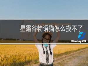 星露谷物语猫怎么摸不了