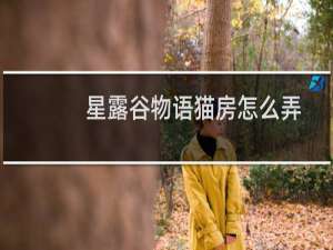 星露谷物语猫房怎么弄