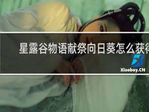 星露谷物语献祭向日葵怎么获得