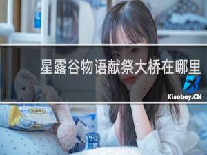 星露谷物语献祭大桥在哪里