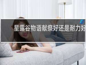 星露谷物语献祭好还是耐力好