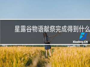 星露谷物语献祭完成得到什么