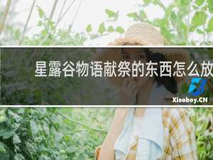 星露谷物语献祭的东西怎么放