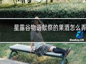 星露谷物语献祭的果酒怎么弄
