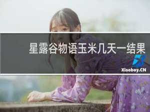 星露谷物语玉米几天一结果