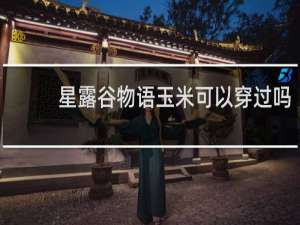 星露谷物语玉米可以穿过吗