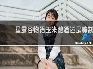 星露谷物语玉米酿酒还是腌制