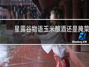 星露谷物语玉米酿酒还是腌菜