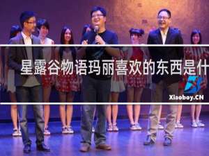 星露谷物语玛丽喜欢的东西是什么