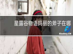 星露谷物语玛丽的斧子在哪