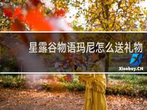 星露谷物语玛尼怎么送礼物