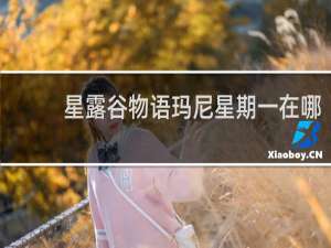 星露谷物语玛尼星期一在哪