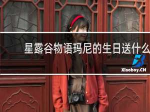 星露谷物语玛尼的生日送什么