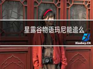 星露谷物语玛尼能追么