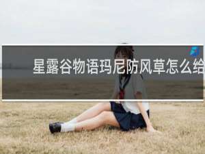 星露谷物语玛尼防风草怎么给