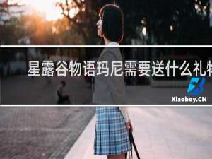 星露谷物语玛尼需要送什么礼物