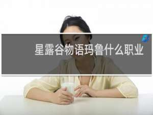 星露谷物语玛鲁什么职业