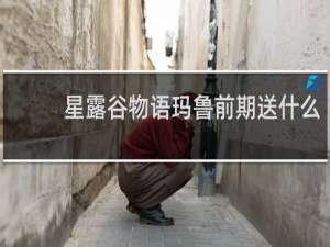 星露谷物语玛鲁前期送什么