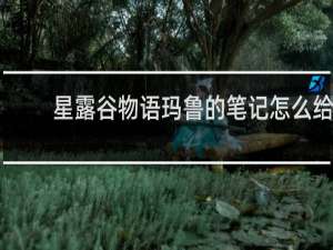 星露谷物语玛鲁的笔记怎么给