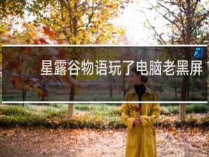 星露谷物语玩了电脑老黑屏