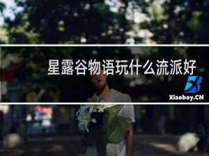 星露谷物语玩什么流派好