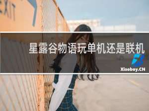 星露谷物语玩单机还是联机