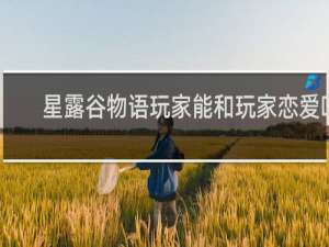 星露谷物语玩家能和玩家恋爱吗