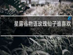 星露谷物语玫瑰仙子谁喜欢