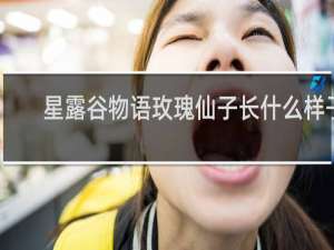 星露谷物语玫瑰仙子长什么样子