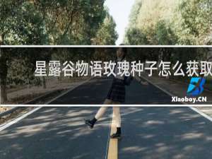 星露谷物语玫瑰种子怎么获取