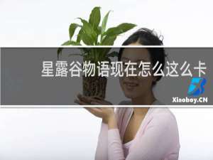 星露谷物语现在怎么这么卡