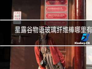 星露谷物语玻璃纤维棒哪里有