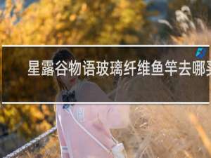 星露谷物语玻璃纤维鱼竿去哪买