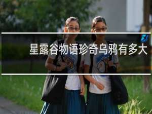 星露谷物语珍奇乌鸦有多大