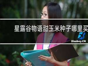 星露谷物语甜玉米种子哪里买