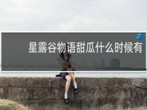 星露谷物语甜瓜什么时候有