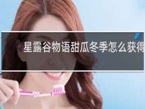 星露谷物语甜瓜冬季怎么获得