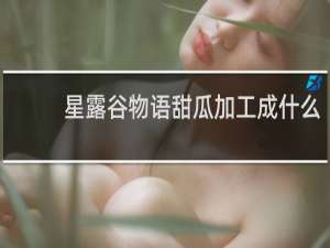 星露谷物语甜瓜加工成什么