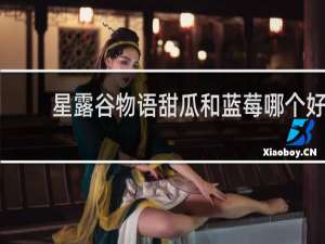 星露谷物语甜瓜和蓝莓哪个好