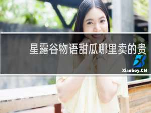 星露谷物语甜瓜哪里卖的贵