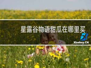 星露谷物语甜瓜在哪里买