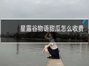 星露谷物语甜瓜怎么收费