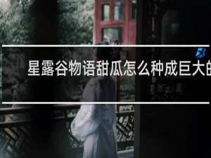 星露谷物语甜瓜怎么种成巨大的