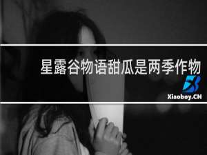 星露谷物语甜瓜是两季作物