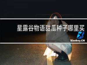 星露谷物语甜瓜种子哪里买